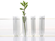 Üçlü Filtre Testi