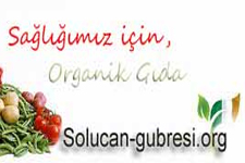 Solucan Gübresi, Kırmızı Kaliforniya Solucanları, Organik, Verimli, Doğaldır, Ol