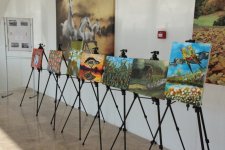 Bu Resim, Sergisi Mutlaka Görülmeli!