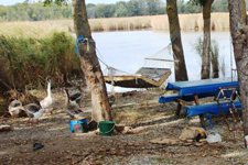 Longoz Ormanlarında Geçen 8 Yıl