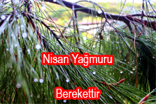 Nisan Yağmuru Cilt ve Saç Sağlığına Faydalı
