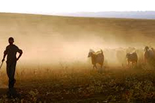 Hem Suçlu Hem Güçlü