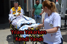 Saldıran Yılanı Yakmak İsteyen Asker Canından Oluyordu