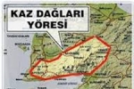 Zeytinyağında Fiyatlar Hep Yukarı