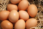 Edirne  - Yumurta Üreticisi Artık, Yapmak Zorunda?