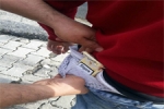 Edirne  - Boxera Saklamasıda Fayda Etmedi