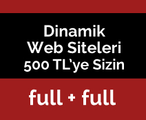 Web Siteniz Yok mu?