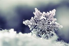 Edirne’de Satışları Patladı, Gitti