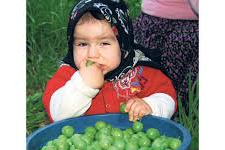 Yer Misin Yemez Misin: Kilosu 300 TL.