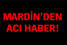 Mardin’de 3 Vatan Evladı Şehit Oldu