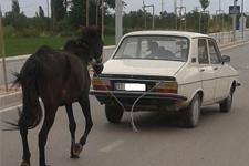 2015 Model At Arabası