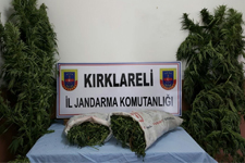 Kırklareli'nde 8 Kilo Esrar Ve Kenevir Ele Geçirildi
