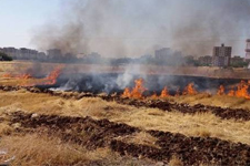 Kırklareli'ne Anız Yangını Uyarısı Yapıldı