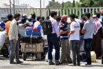Çanakkale - Suriyeli Mülteciler, Zeytin işçisi Oldu