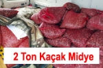  - Edirne'de 2 Ton Kaçak Midye Ele Geçirildi
