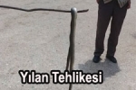  - Biga'da Dama Giren Yılan Korkuttu